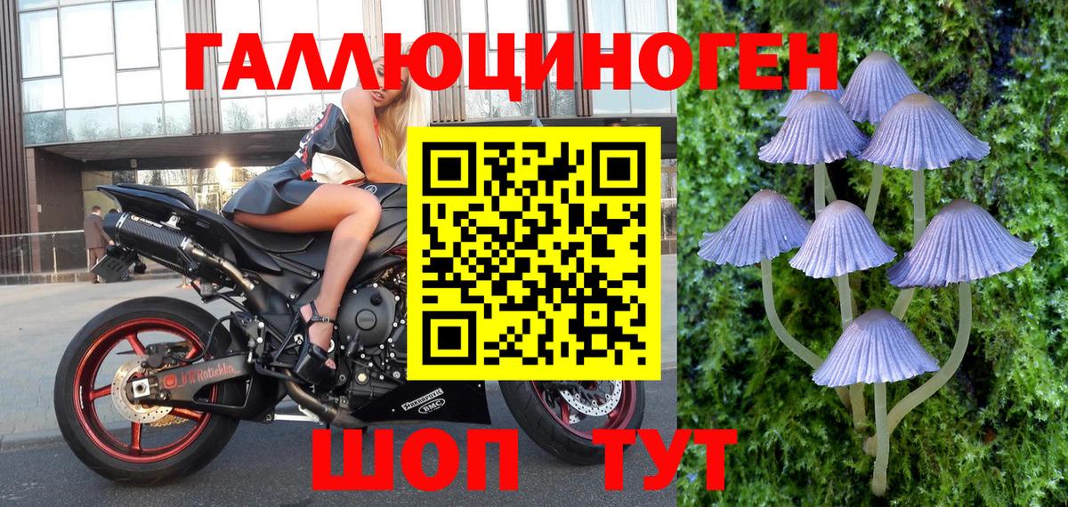 Галлюциногенные грибы MAGIC MUSHROOMS  где купить наркотик  Бугуруслан  Вход с VPN 